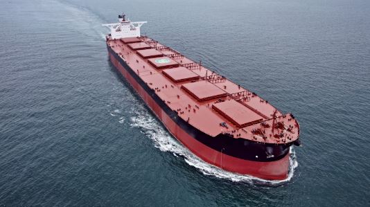 Bulker orders likely to show 33% decline